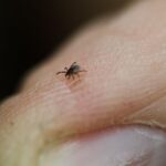 Punkit: Yleistyminen ja Tutkimus Suomessa