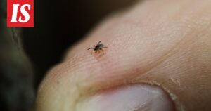 Punkit: Yleistyminen ja Tutkimus Suomessa