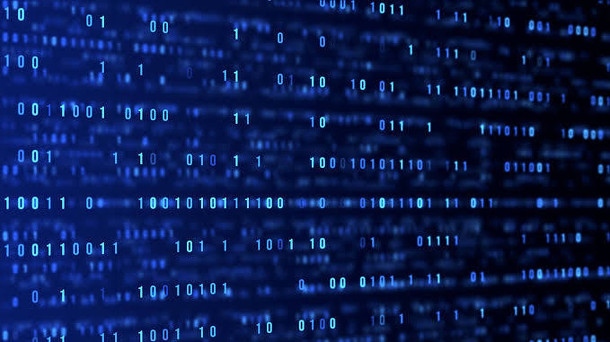 Rola vědomí a vnímání absence v lidském mozku