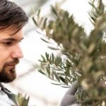 Rostlina, kterou byste měli mít doma, na terase nebo v zahradě pro prosperitu a štěstí