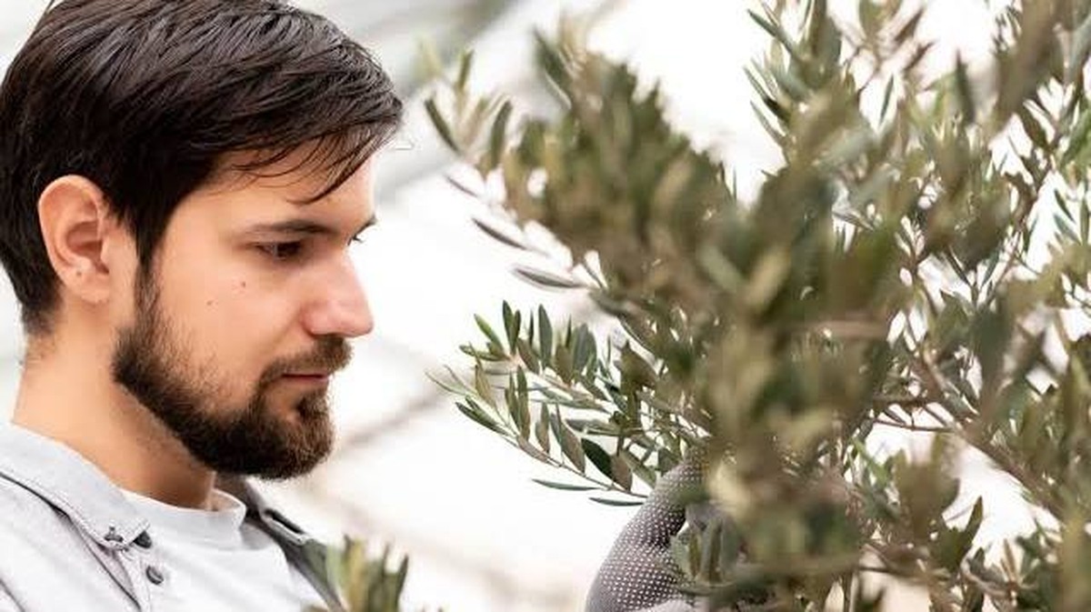 Rostlina, kterou byste měli mít doma, na terase nebo v zahradě pro prosperitu a štěstí