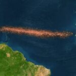 Růst sargasa a jeho dopad na životní prostředí v Atlantském oceánu