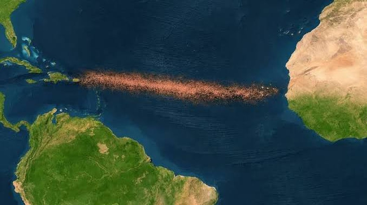 Růst sargasa a jeho dopad na životní prostředí v Atlantském oceánu