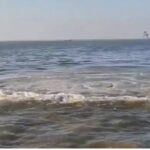 Tajemné události v moři u Vasaie: Co se děje pod hladinou?