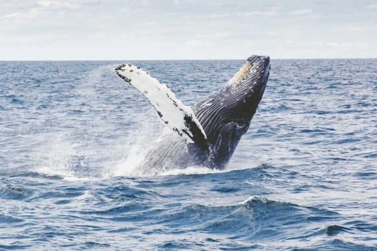 Tajomství dlouhověkosti spočívá v chladu
