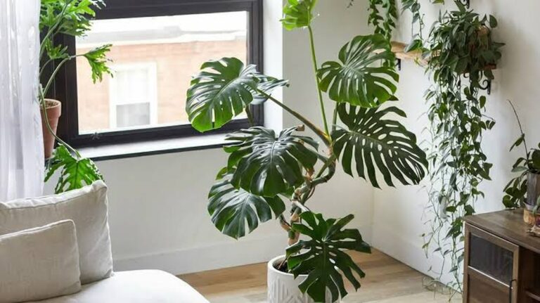 Tipy pro zdraví a pohodu v každodenním životě