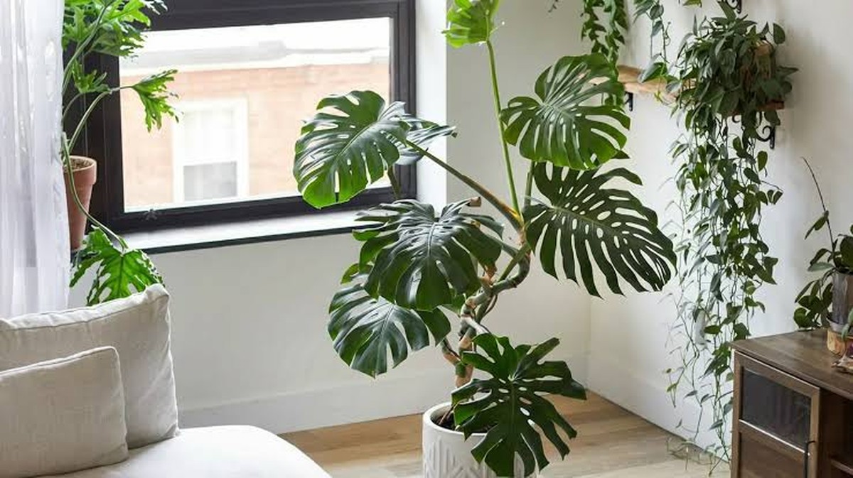 Tipy pro zdraví a pohodu v každodenním životě