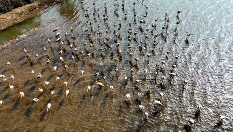 Učení se být organizovaný