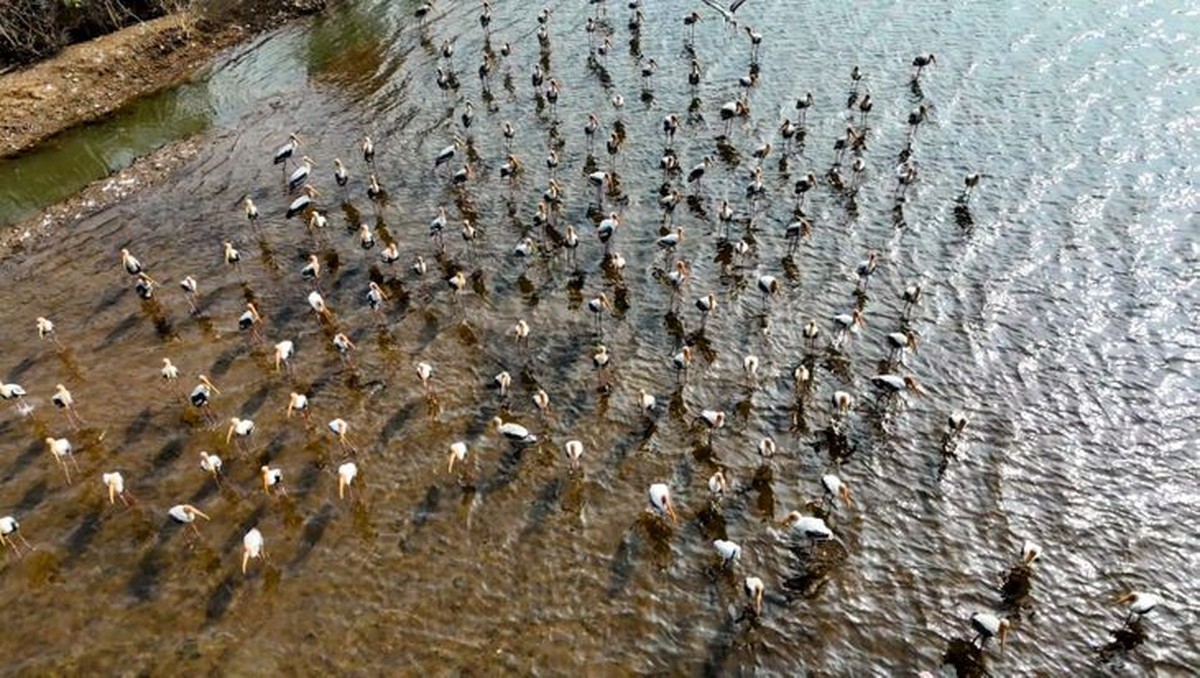 Učení se být organizovaný
