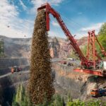 Úloha divokých vos v boji proti invazi brouka esmeraldy