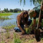 Úsilí o obnovu mokřadů v Chile