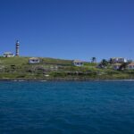 Úžasná zvířata: Jak přežila stádo koz v izolaci po dobu 200 let