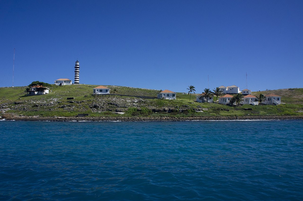 Úžasná zvířata: Jak přežila stádo koz v izolaci po dobu 200 let