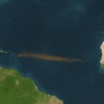 Vliv obrovského hnědého pásu na oceánské ekosystémy