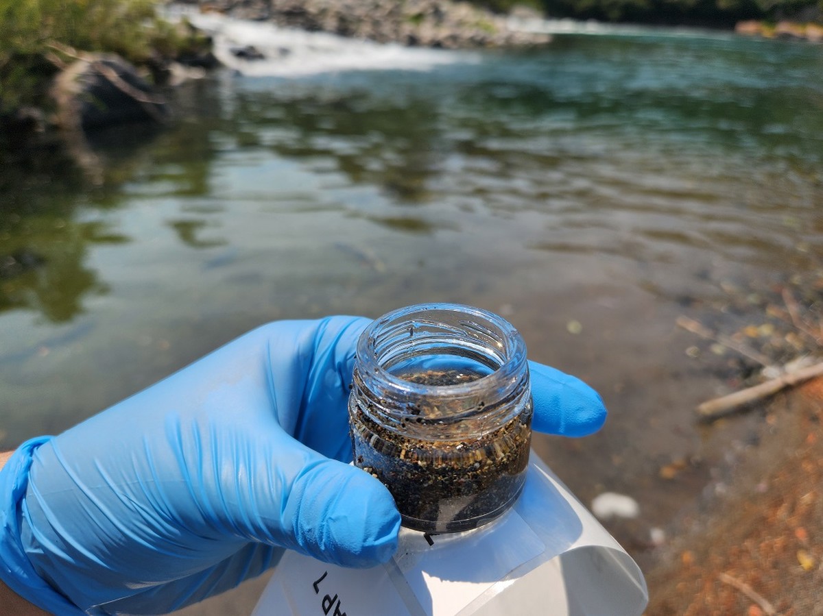 Význam mikroorganismů pro zemědělství a ochranu biodiverzity