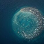 Život na plastovém odpadu v Tichém oceánu