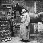 Příběh chytrého koně Hansa